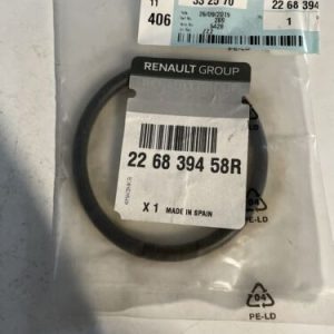 226839458R Original Renault Gasket CJ13